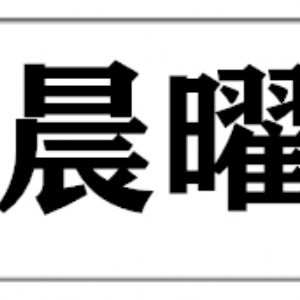 安徽亳州晨曜木业